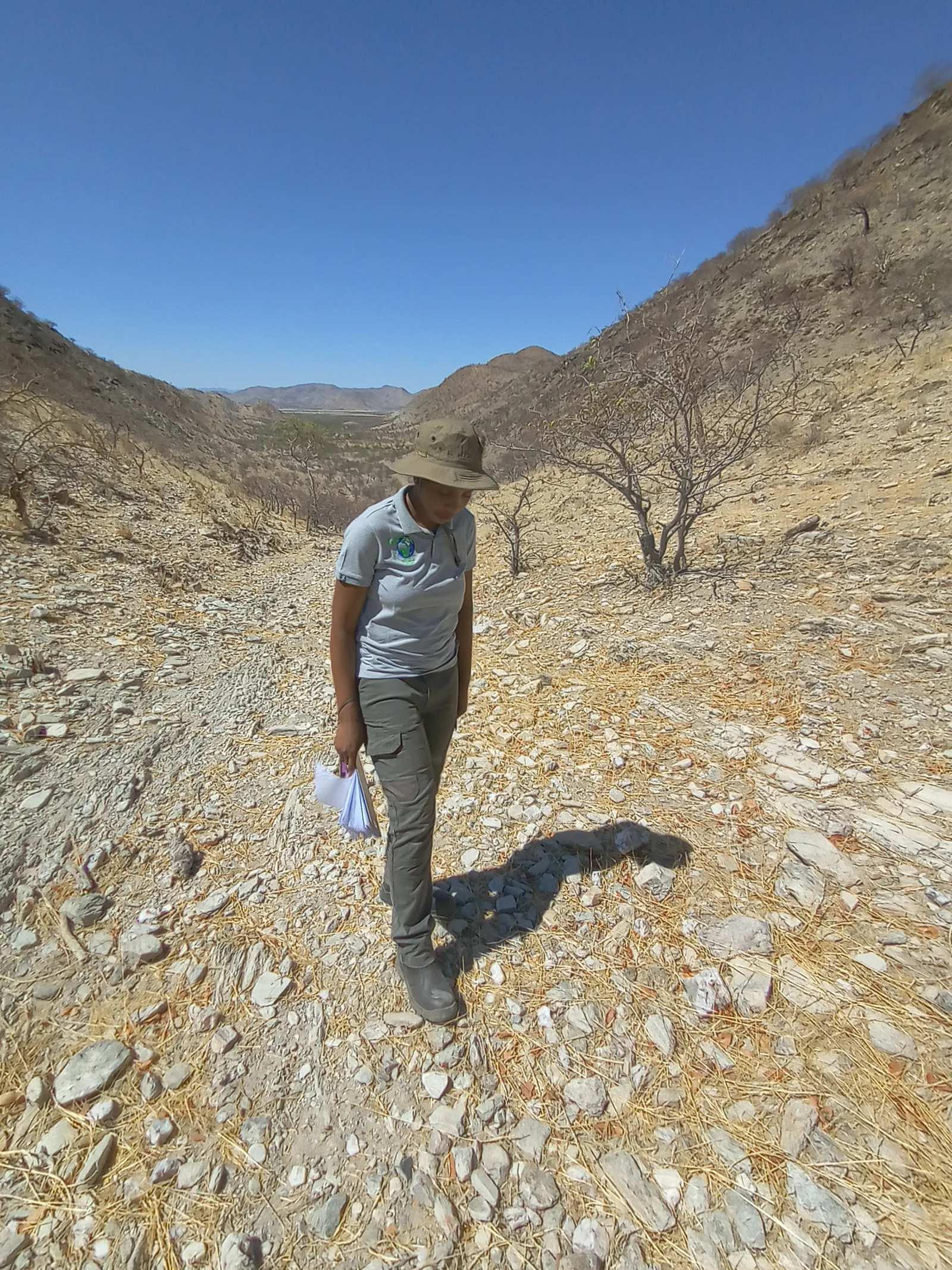 Eco-Wise Environmental Consulting — fieldwork image 17