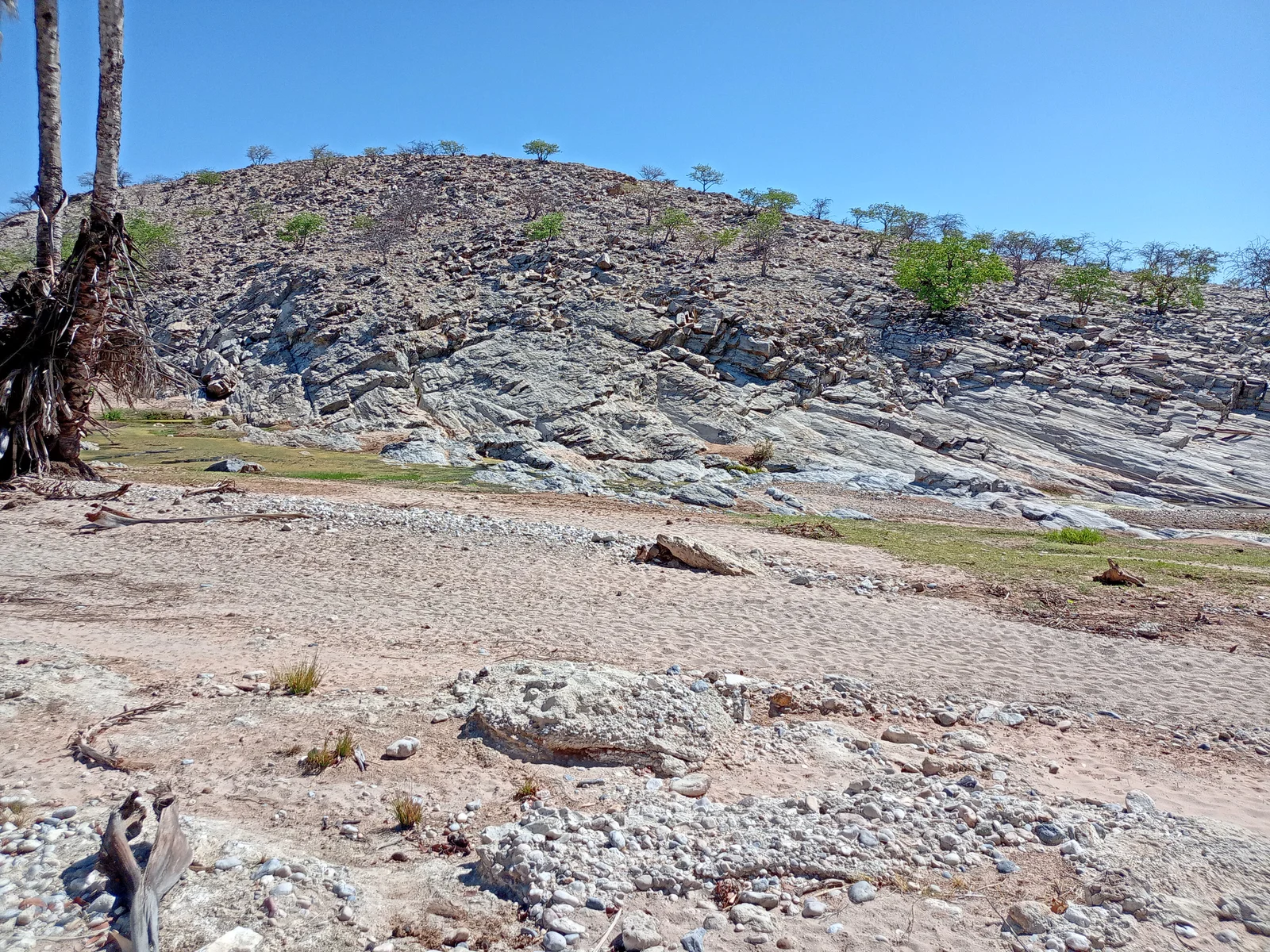 Eco-Wise Environmental Consulting — fieldwork image 21